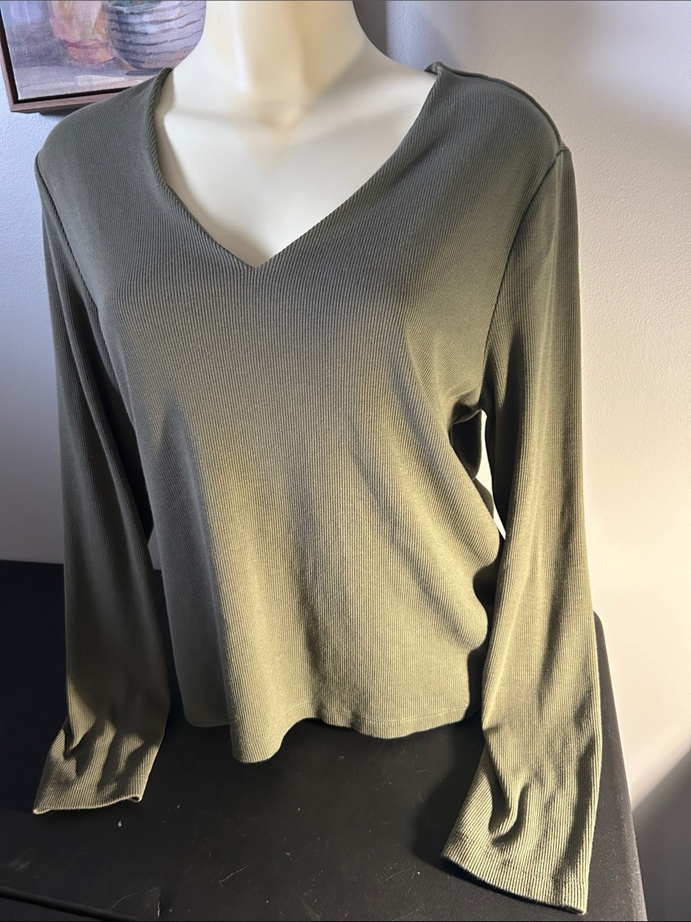 V-Neck Long Sleeve Ribbed Top in Olive